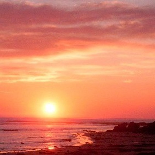 Mark Hellman - Shakespeare Blog