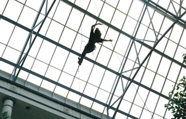 Mark Hellman - Director/Producer